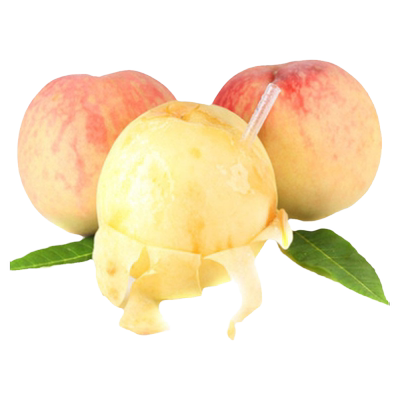 阳山水蜜桃树苗盆栽地当年结