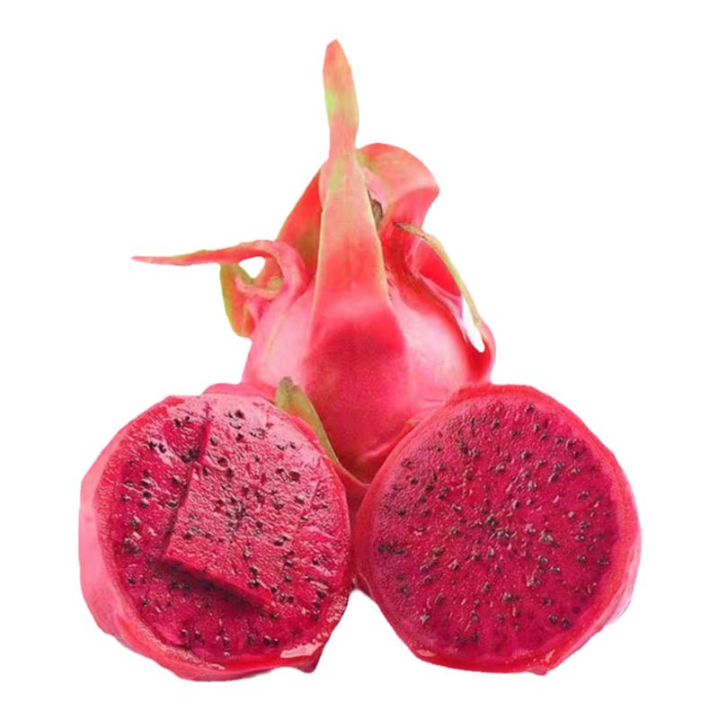 蜜玄龙红心火龙果苗四季结果特大