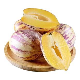 人参果苗人身果人生果苗子树盆栽四季盆栽蔬菜苗夏季阳台专用国产