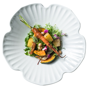 高颜值蔬菜水果沙拉碗 创意汤碗甜品碗 家用商用特色菜碗炒饭碗