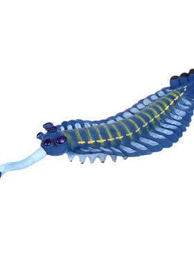 远古三叶虫奇虾甲鱼儿童海洋生物
