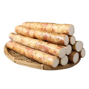 河北蠡县麻山药山药3斤5斤新鲜带土蔬菜农家种植特产非铁杆淮山药