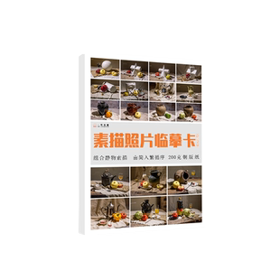素描照片临摹卡组合静物基础提升篇 临摹范本组合画册集组合静物道具结构解析照片写生创意卡片校联考高考绘画示范 美术素描临摹卡