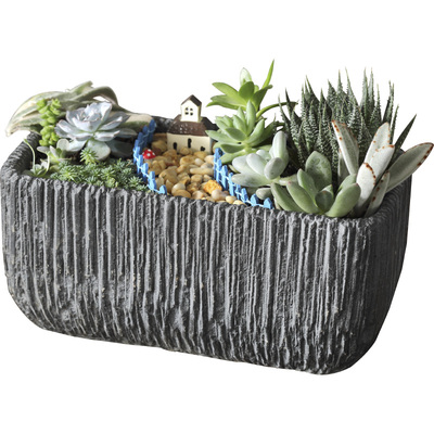 北欧透气发财树粗陶托盘水泥花盆