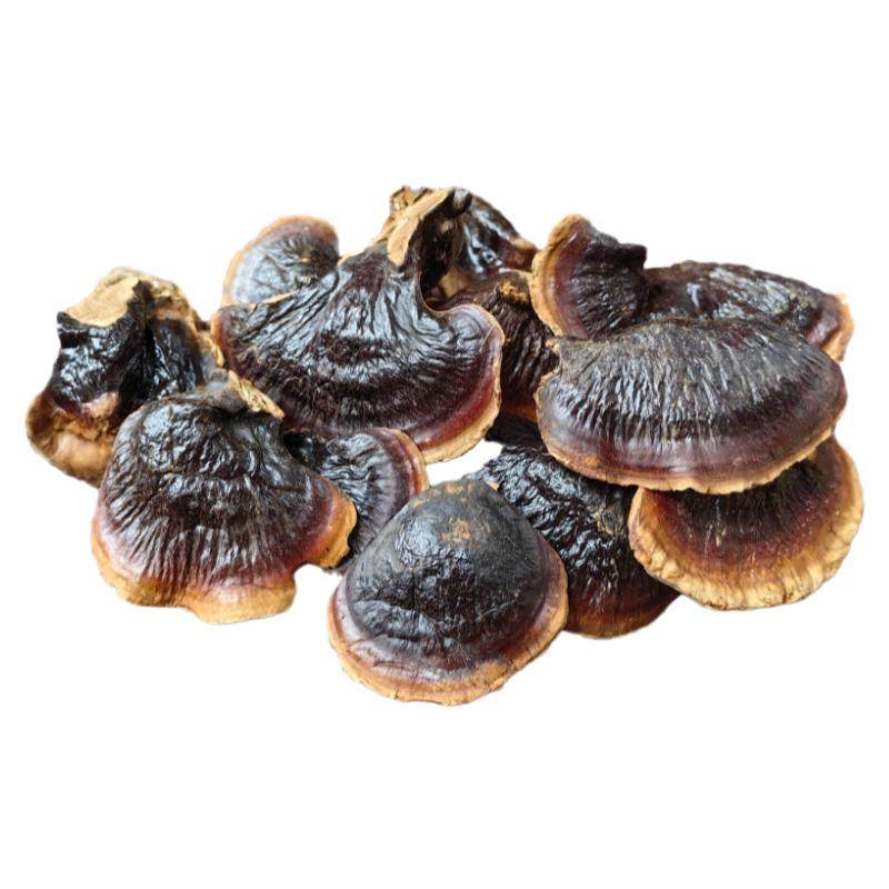 长白山金边灵芝煲汤料煮水