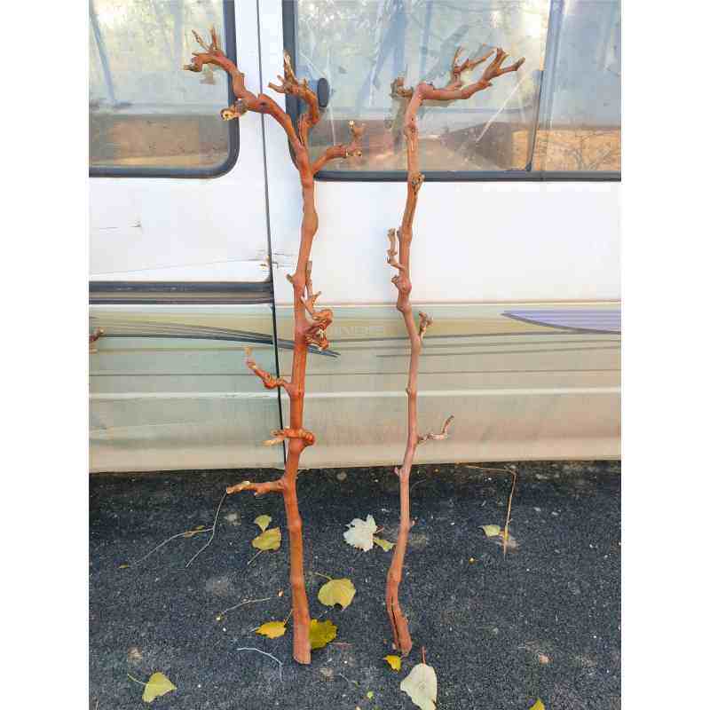 带皮葡萄藤去皮葡萄藤干树枝枯枝装饰干枝艺术花艺diy手工材料