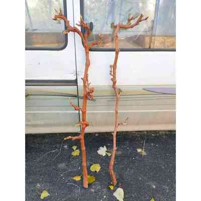 带皮葡萄藤去皮葡萄藤干树枝枯枝装饰干枝艺术花艺diy手工材料