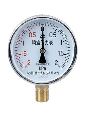 YE100正负压膜盒压力表