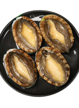 新鲜鲍鱼鲜活特大青岛九孔大鲍鱼