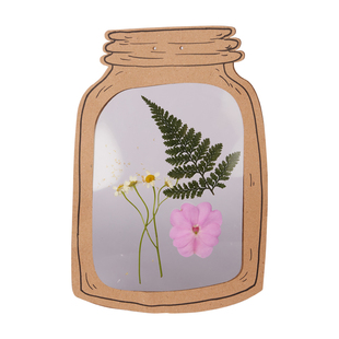 植树节透明标本瓶子手工diy儿童创意美术美劳涂鸦粘贴制作材料包