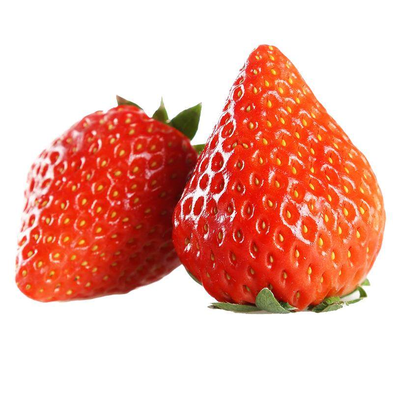 正宗丹东99草莓当季新鲜水果3斤红颜九九草莓礼盒装牛奶奶油草莓