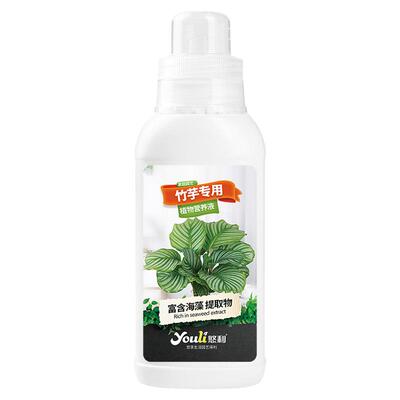 悠利竹芋专用营养液新品上新