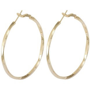 欧美耳饰时尚气质耳圈2025新款爆款夸张大圈圈耳环女s925银针耳扣