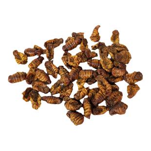 蚕蛹新货 中药材 比戈树蚕蛹干 桑蚕蛹 小蜂儿晚蚕砂 可食用500克