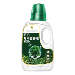 竹柏营养液花肥治黄叶烂根驱蚊草水培植物专用肥料室内盆栽兴旺竹