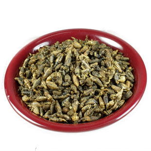 中药材野生金沙牛10克新货正宗金砂牛倒退虫蚁狮干净地牯牛粉干货