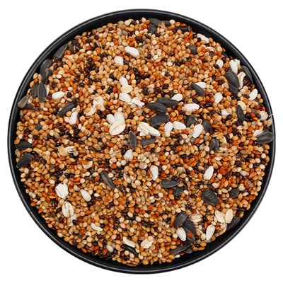 新鲜美味护毛亮羽营养鹦鹉鸟粮