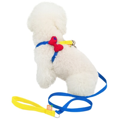 BESTA-忒可爱！宠物狗狗胸背带小型犬泰迪比熊雪纳瑞牵引绳子遛狗