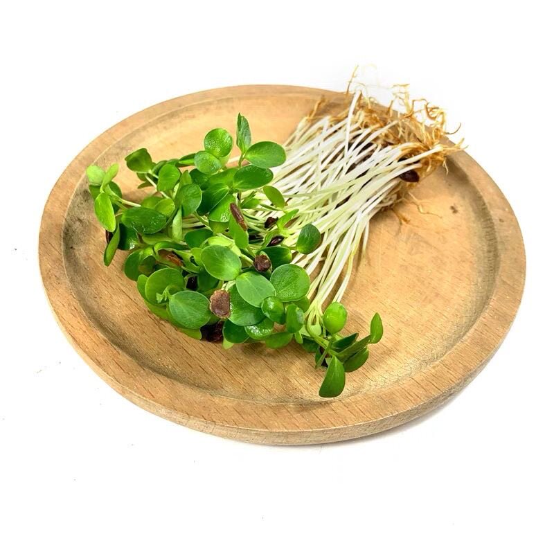 萝卜苗新鲜甜品蛋糕装饰烘焙用草叶子西餐酒楼用冷盘摆盘花草点缀