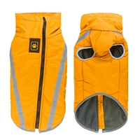 Имбирь (фавориты и покупка, покупка предпочтительной доставки)