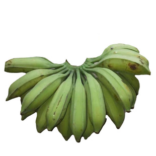 非洲饭蕉Plantain青芭蕉africa banana生大蕉生的煲汤煎炸Fufu