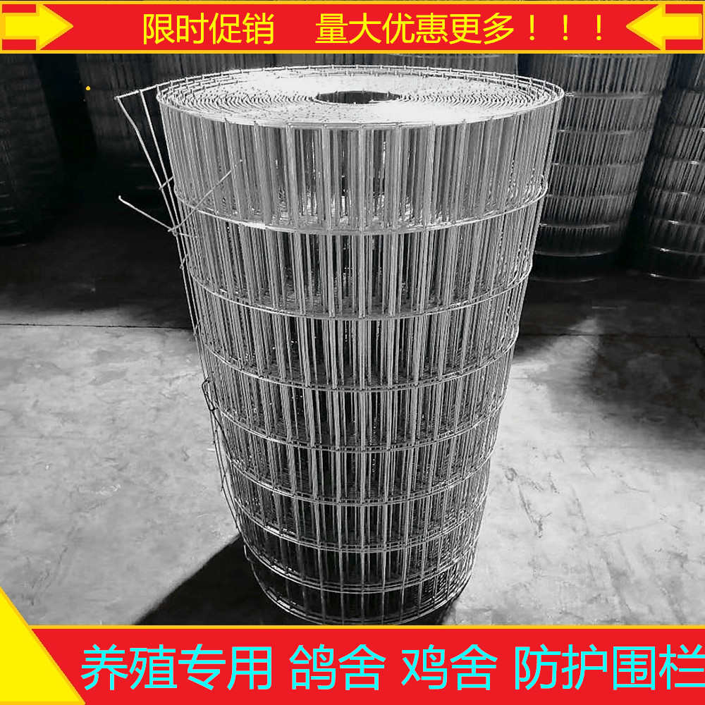 镀锌铁丝网电焊网片网格网丝小长孔养殖鸽笼鸟笼狗笼宠物垫底加粗