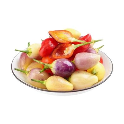 七彩观赏辣椒苗多彩盆栽四季阳台