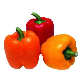 辣椒种子七彩椒五彩甜椒朝天椒长线椒牛角椒蔬菜籽四季播蔬菜种子