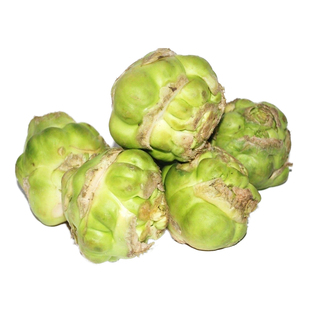 榨菜种子四川大芥菜种籽腌制泡菜大头青菜头疙瘩秋季播蔬菜种孑