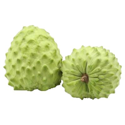 番荔枝凤梨大果热带水果