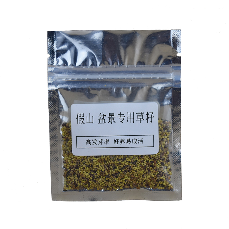 上水石植物假山草籽盆栽铺面苔藓