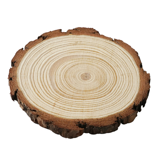 原始木头切割杯垫松木垫托盘托台底座树片年轮文艺文化创意