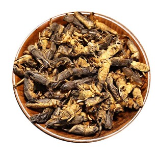 正品蝼蛄中药材大个新货精选野生土狗地狗蝲蝲蛄干货农家自晒整只