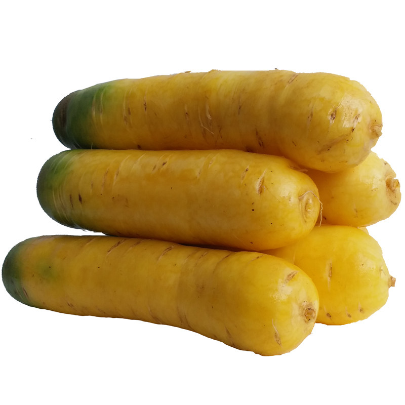 山西新鲜黄胡萝卜可凉拌可炒菜