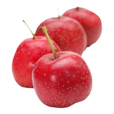 新鲜山楂甜口山楂新鲜直达