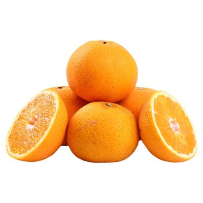 正宗常山胡柚高品质基地直采