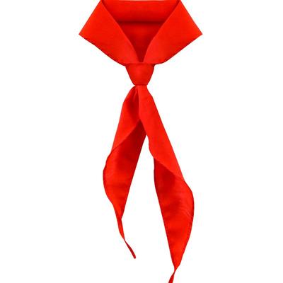 加厚红领巾抗皱|超6.4万次加购