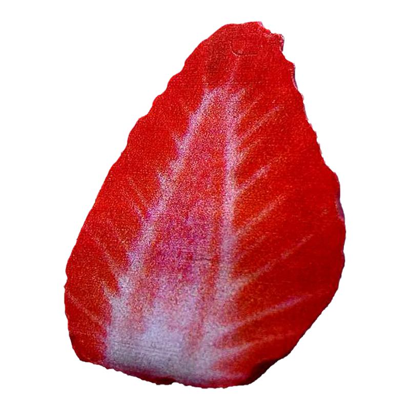 仿真水果蛋糕模型奇特居红草莓