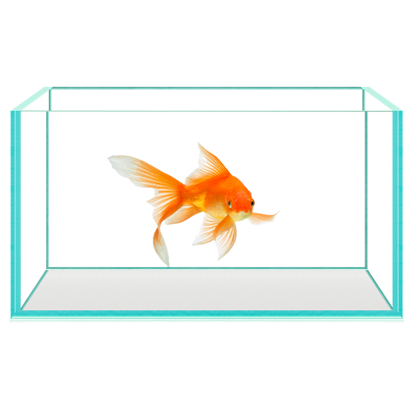 金晶五線超白魚缸玻璃長方形超白缸溪流水草缸裸缸客廳家用空氣缸