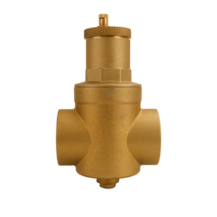 全铜微泡排气阀6分1寸内丝直通加厚过滤排污阀自来水管螺旋泄压阀