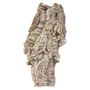 天然香槟树皮非葡萄牙软木鹿角蕨蝴蝶兰花石斛种植挂板软木真树皮