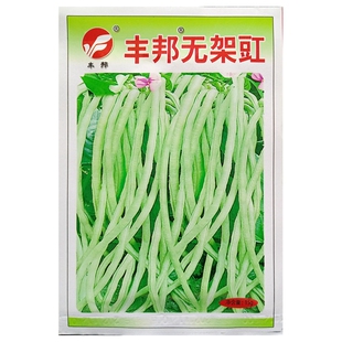 无架豇豆种子无蔓长豆角缸豆江豆种籽蔬菜春夏秋季播15克约100粒