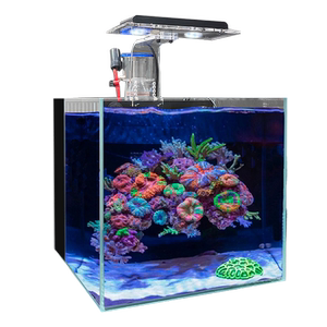 坦森水族小型桌面海水设备套缸