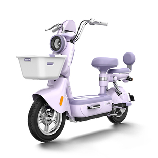 【门店自提】台铃新欣动长续航新国标电动车代步智能电瓶车