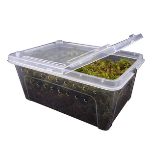 乌龟冬眠用品巴西龟过冬椰土苔藓草沙土垫材保温冬眠窝乌龟冬眠箱