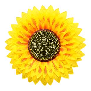 运动会开幕入场式儿童节演出手持幼儿园跳舞表演向日葵道具手拿花