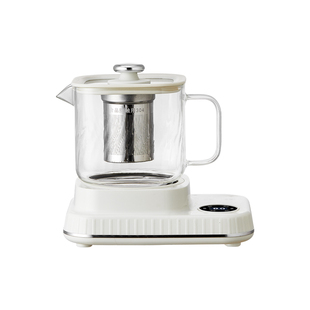 全玻璃养生壶煮茶器小型家用办公室一人迷你养生壶电茶炉烧水壶