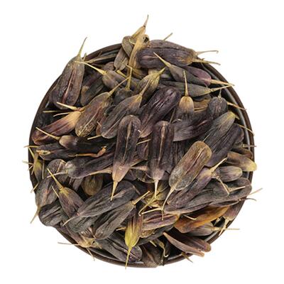 中药材板蓝根种子大青叶种籽春四季种植苗阳台盆栽中草药蔬菜种孑