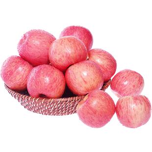 洛川苹果陕西红富士当季新鲜孕妇水果20枚85脆甜好吃大果绿色食品