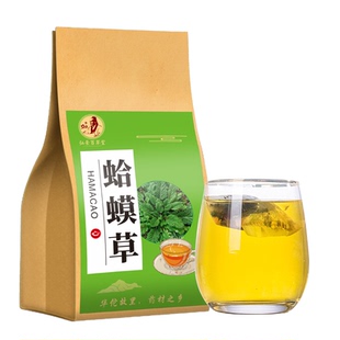 野生蛤蟆草500克新野生新鲜癞蛤蟆草正品旗舰店雪见草原料泡水煮